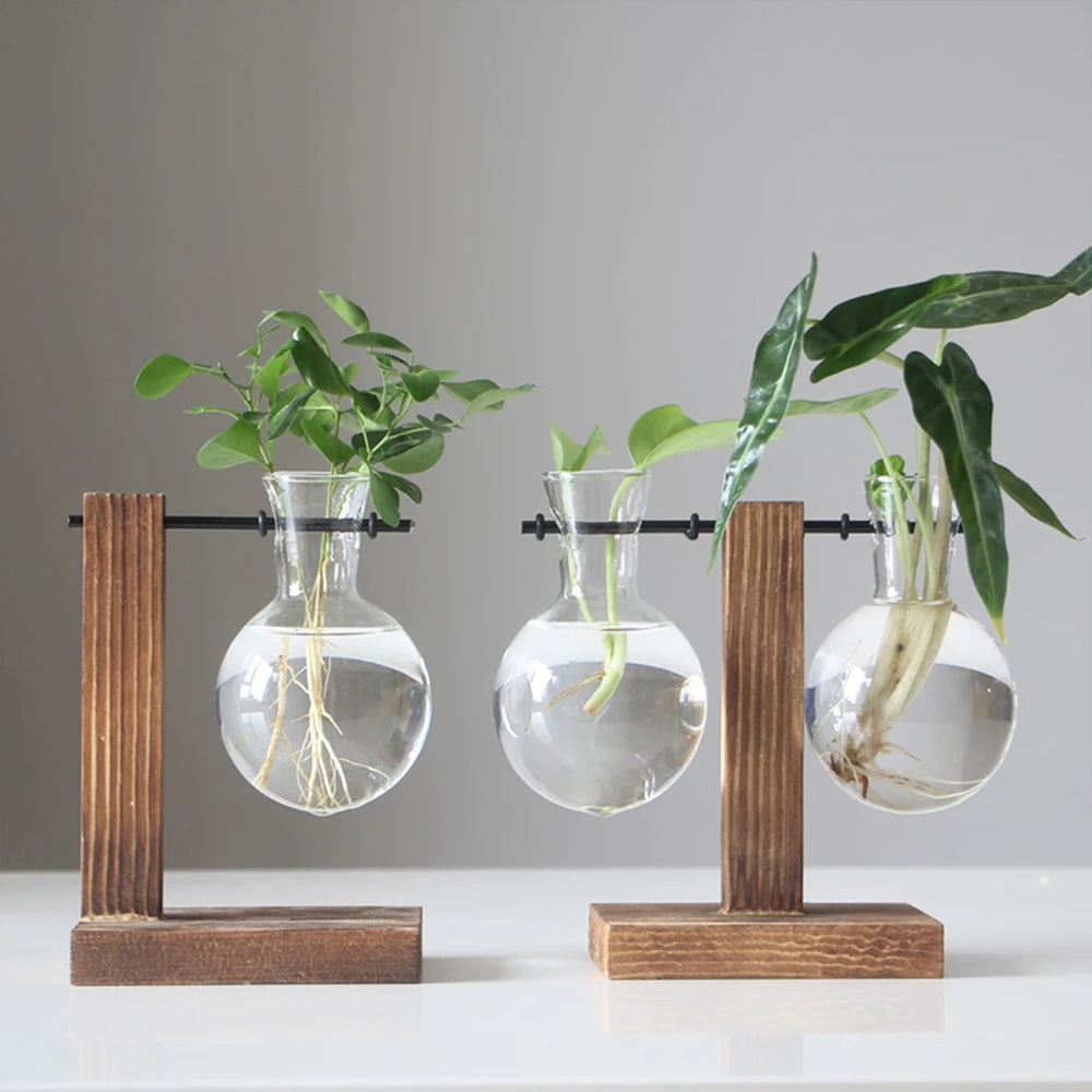 Vases créatifs en verre pour plantes hydroponiques avec support en bois décoration naturelle de table