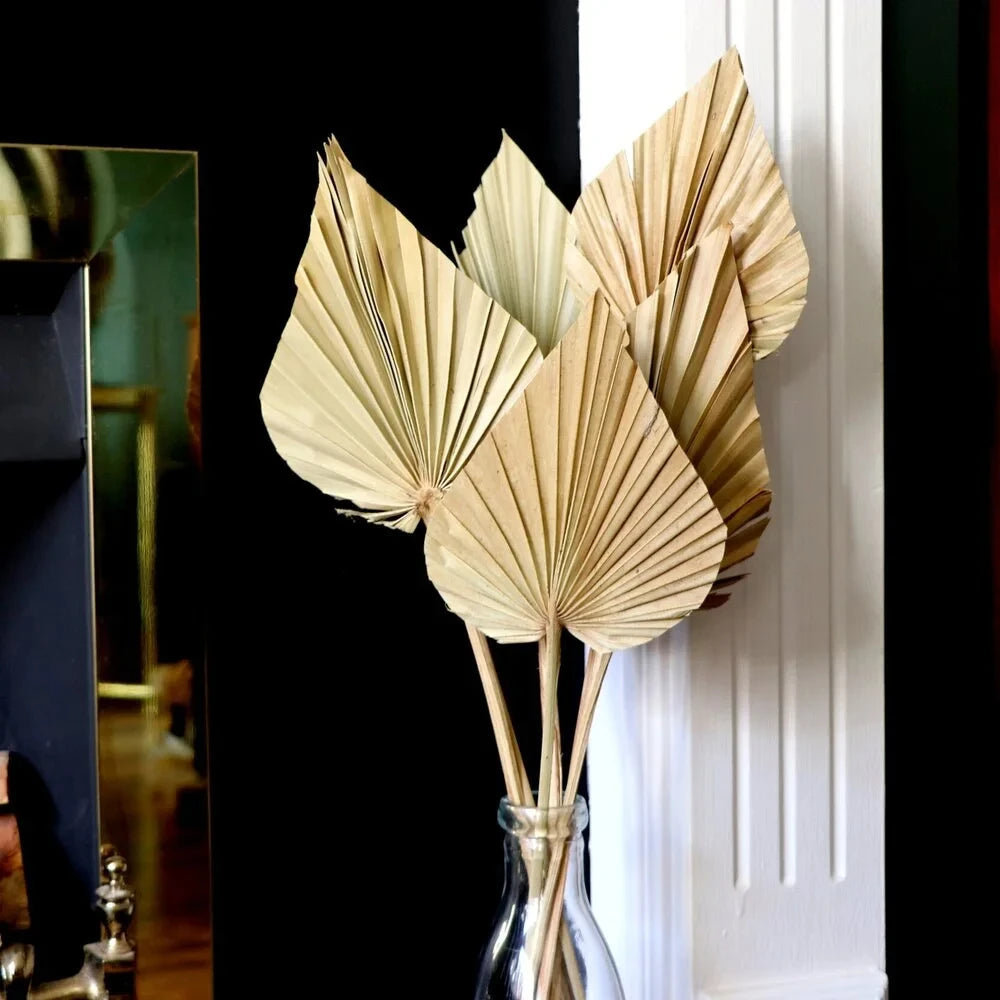 lot de 2 mini feuilles de palmier séchées et branches d’herbe de pampa pour décoration intérieure bohème