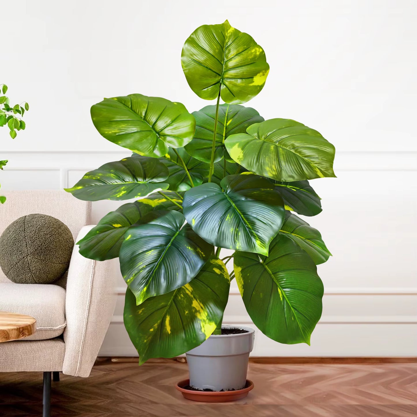 Plante Monstera  52-104cm