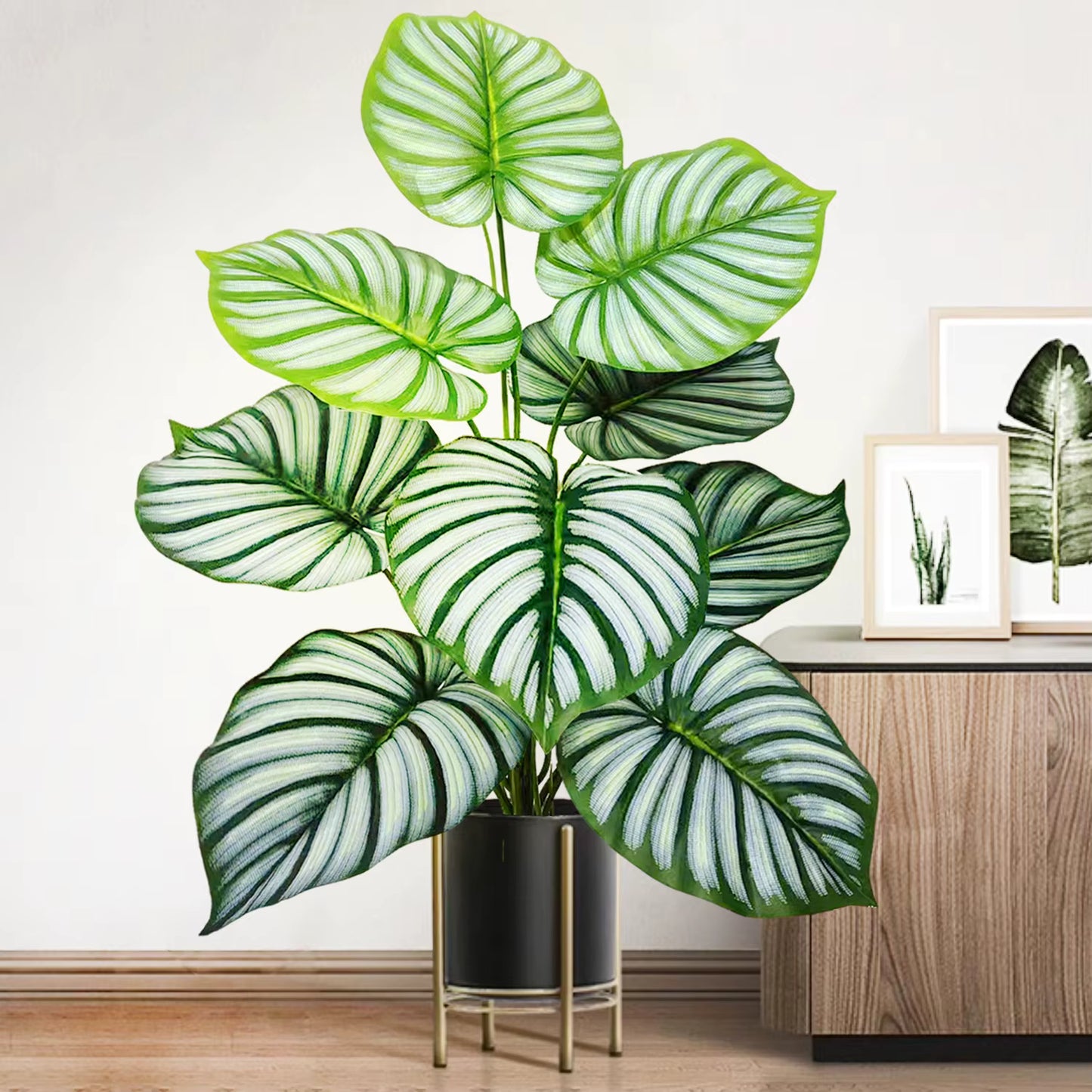 Plante Monstera  52-104cm