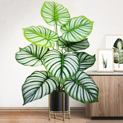 Plante Monstera  52-104cm
